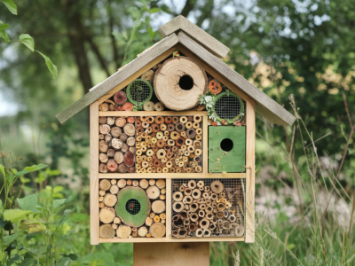 Comment installer un hôtel à insectes efficace pour attirer pollinisateurs et auxiliaires en 5 modules